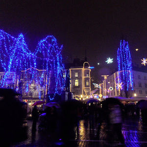 Meet your Posher, Amelia